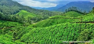 Meghamalai (High Wavy Mountains)